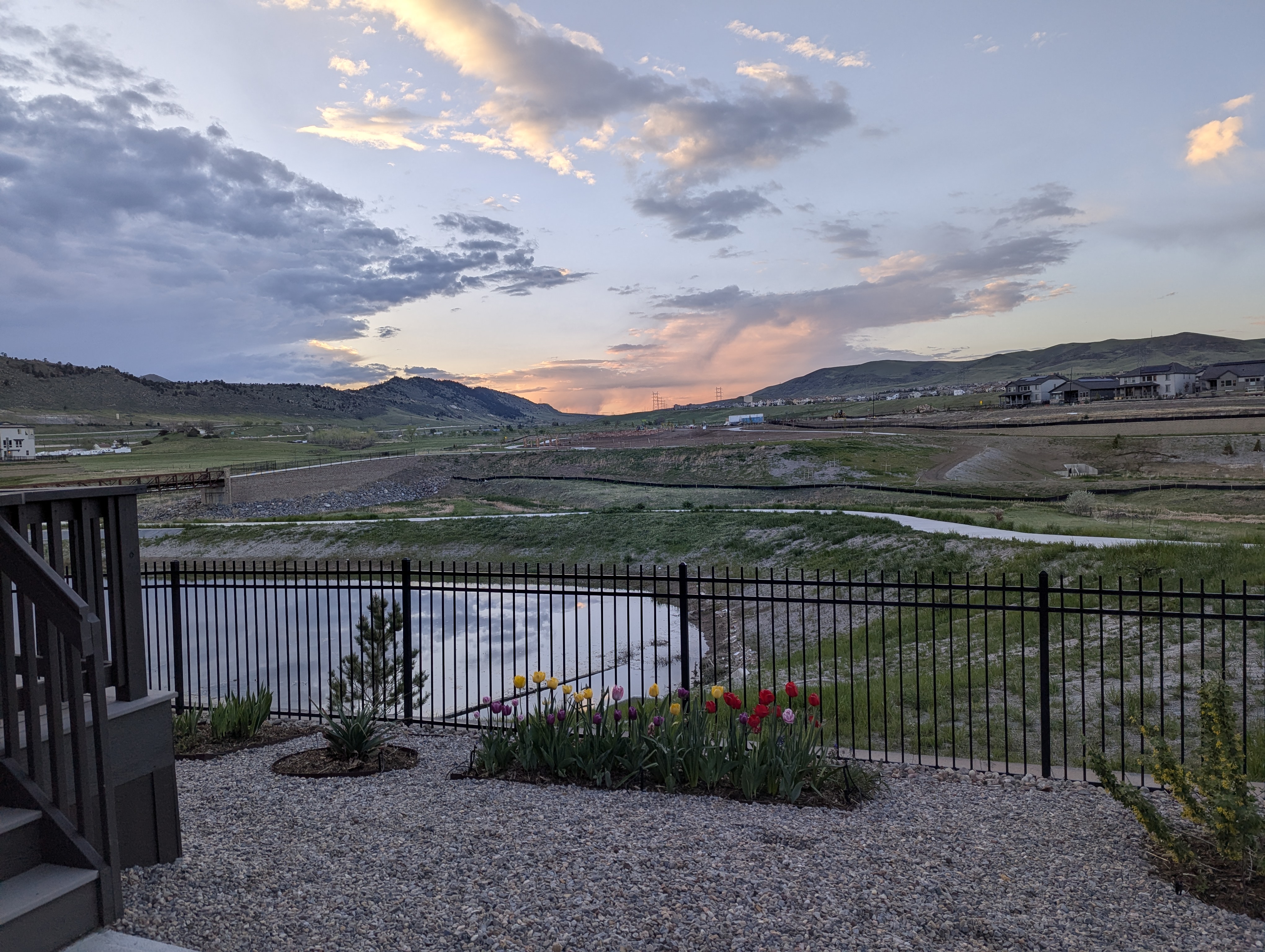 Garden, Flowers, Morrison, Colorado
